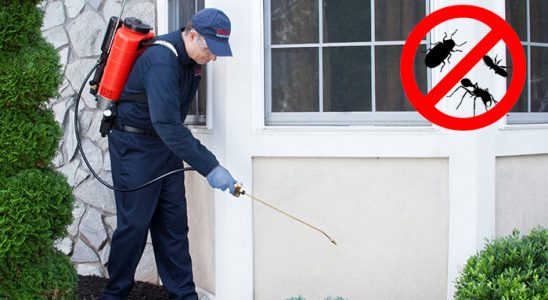 Yağcılar Kemirgen İlaçlama böcek ilaçlama ve haşere kontrolü — ilaclama-tr.com